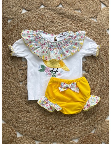 Conjunto Pajarito Amarillo